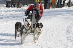 Lenk 2012 SM